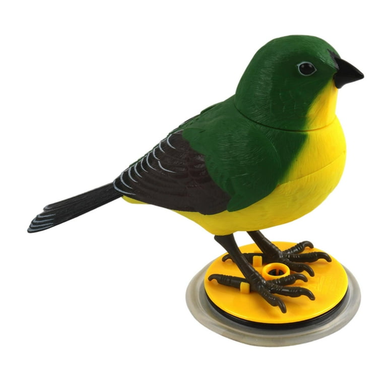 Singing bird outlet toy