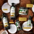 thumbnail image 5 of Crema para Peinar Herbal Essences Bío:Renew Coconut Milk & Aloe 300 ml, 5 of 5
