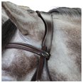 thumbnail image 2 of Whitaker Tête de Cheval Anatomique en Cuir Pick N Mix, 2 of 2