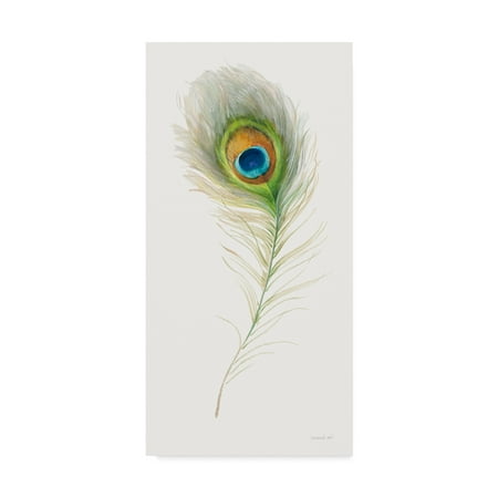 - Trademark Fine Art 'Jaipur X' Canvas Art by Danhui Nai