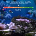 thumbnail image 5 of Dpityserensio Printed,Fish Tank Landscaping Decoration Printing Articulated, 5 of 5