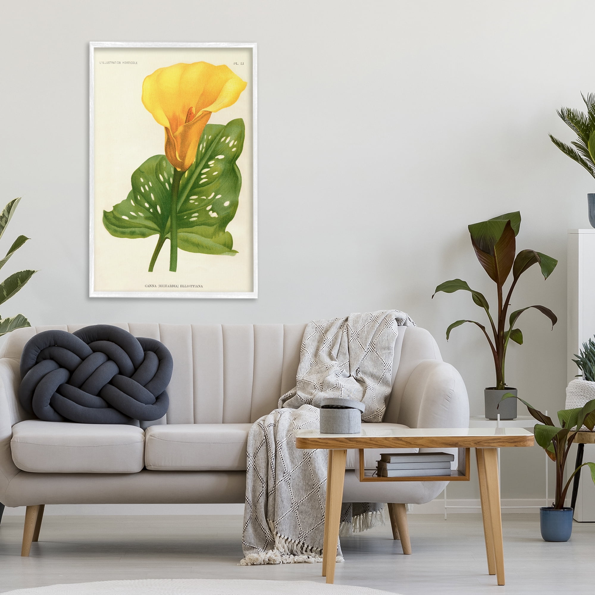 Stupell Industries Yellow Canna Lily White Framed Giclee Art, design by Print Collection