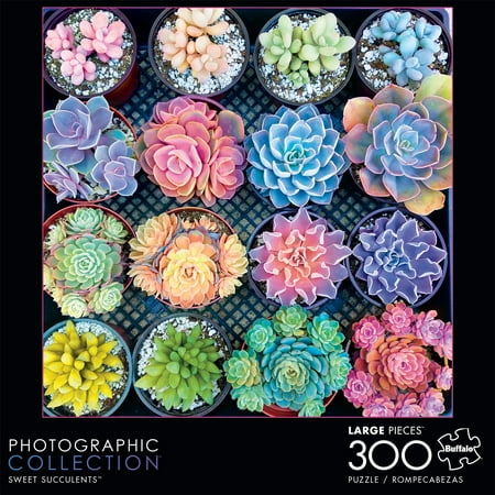 Buffalo Games - Modern Photography - Sweet Succulents - 300 Piece Jigsaw Puzzle