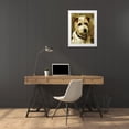 thumbnail image 3 of Emms, John 19x24 White Modern Wood Framed Museum Art Print Titled - Portrait of a Terrier: Darkie, 3 of 4