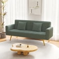 thumbnail image 3 of ARCTICSCORPION 71.7 inch Teddy Fleece Loveseat, Modern 2 Seat  Sofa Couch with Two Throw Pillows and Gold Metal Leg, Green, 3 of 9