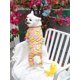 thumbnail image 3 of Teddy Panda, Small, Medium And Large Dogs, Spring, Summer And Autumn New Pet Clothes, 3 of 4