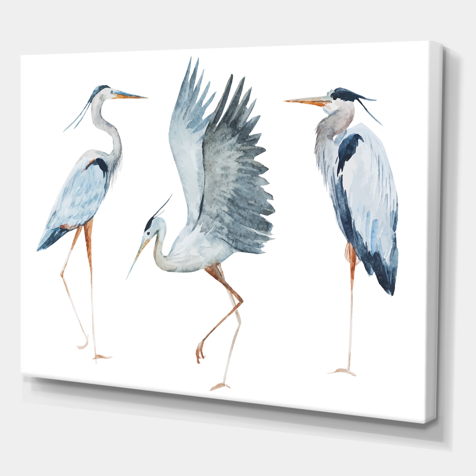 Designart ' Portrait Of Heron Birds II ' Traditional Canvas Wall Art Print