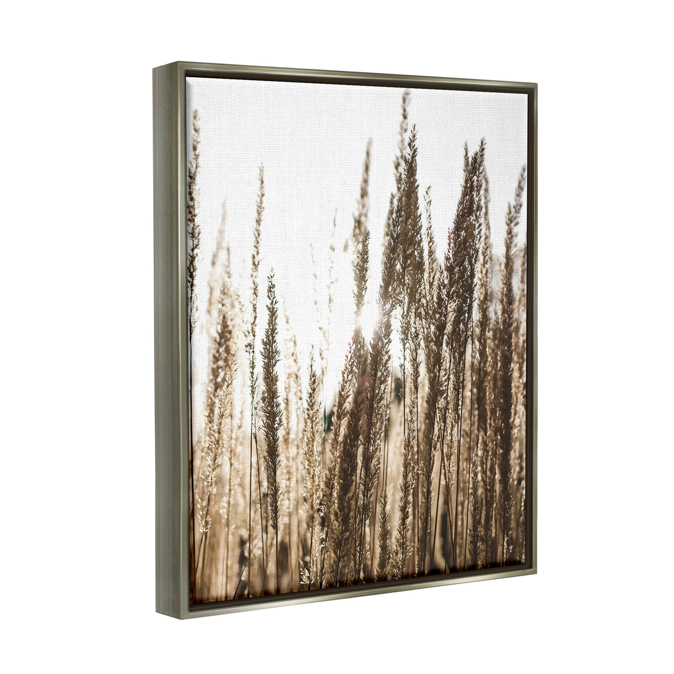 Stupell Industries Light Ray though Wheat Field Photograph Luster Gray Floating Framed Canvas Print Wall Art, Design by Susan Ball