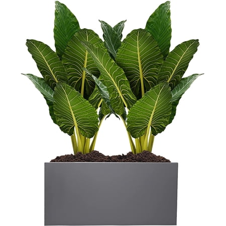 Large Indoor Plant Pot 12  x 16  x 31  Inches Tall Outdoor Planter with Drainage