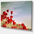 thumbnail image 2 of Flourishing Red Poppies - Floral Canvas Art Print, 2 of 3
