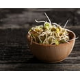 thumbnail image 5 of Organic French Green Lentils, 1 Pound - Non-GMO, Kosher, Sproutable - by Food to Live, 5 of 8