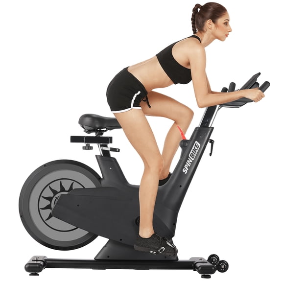 Stationary Bike Magnetic Resistance Silent Belt Drive 300 LBS Capacity Adjustable Seat Self Powered with Tablet Holder Home Cardio Exercise Indoor Cycling