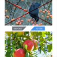 thumbnail image 5 of 4 Juegos de Discos Metálicos para Espantar Pájaros, Hilanderos de Viento Brillantes con Reflectores para Pájaros, Decoración para Colgar en el Jardín del Hogar Al Aire Libre, 5 of 5