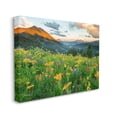thumbnail image 2 of Stupell Indtries Open Wildflower Fields Cloudy Sunrise Mountain Landscape,48 x 36,Design by J.C. Leacock, 2 of 5