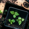 thumbnail image 3 of EAGLE PEAK Seedling Heat Mat Durable Waterproof 20" x 20", UL & MET-Certified Heating Pad for Seed Starting and Germination, 3 of 8