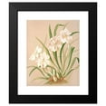 thumbnail image 2 of Harriet Stewart Miner 12x14 Black Modern Framed Museum Art Print Titled - Odontoglossum Roezlii Album (1885), 2 of 5