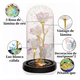 thumbnail image 2 of Flor Eterna Artificiales Regalos Para Mujer Rojo Blanco, 2 of 5