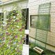 thumbnail image 4 of Mesh Beach Gardening Net Flower Vegetables Morning Vines Glory Cucumber Plant Climbing Nets (1.8Mx0.9M), 4 of 5