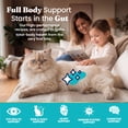 thumbnail image 3 of Solid Gold Sensitive Stomach Dry Cat Food - Made with Real Quail and Pumpkin - Winged Tiger Grain Free Cat Food for Adult and Senior Cats - Promotes Gut Health and Immune Support - 6 lb, 3 of 11