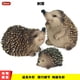 thumbnail image 1 of Jungle Wild Small Animals Model Realistic Hedgehog Action Figure Home Decor Figurines Collection Educational Toys Children GiftsM-1445 He Qiyong unisex, 1 of 1