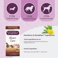 thumbnail image 5 of Amber NaturalZ Hawthorn and Dandelion for Pets | For Heart Health, Circulation, & Fluid Balance 1oz, 5 of 7