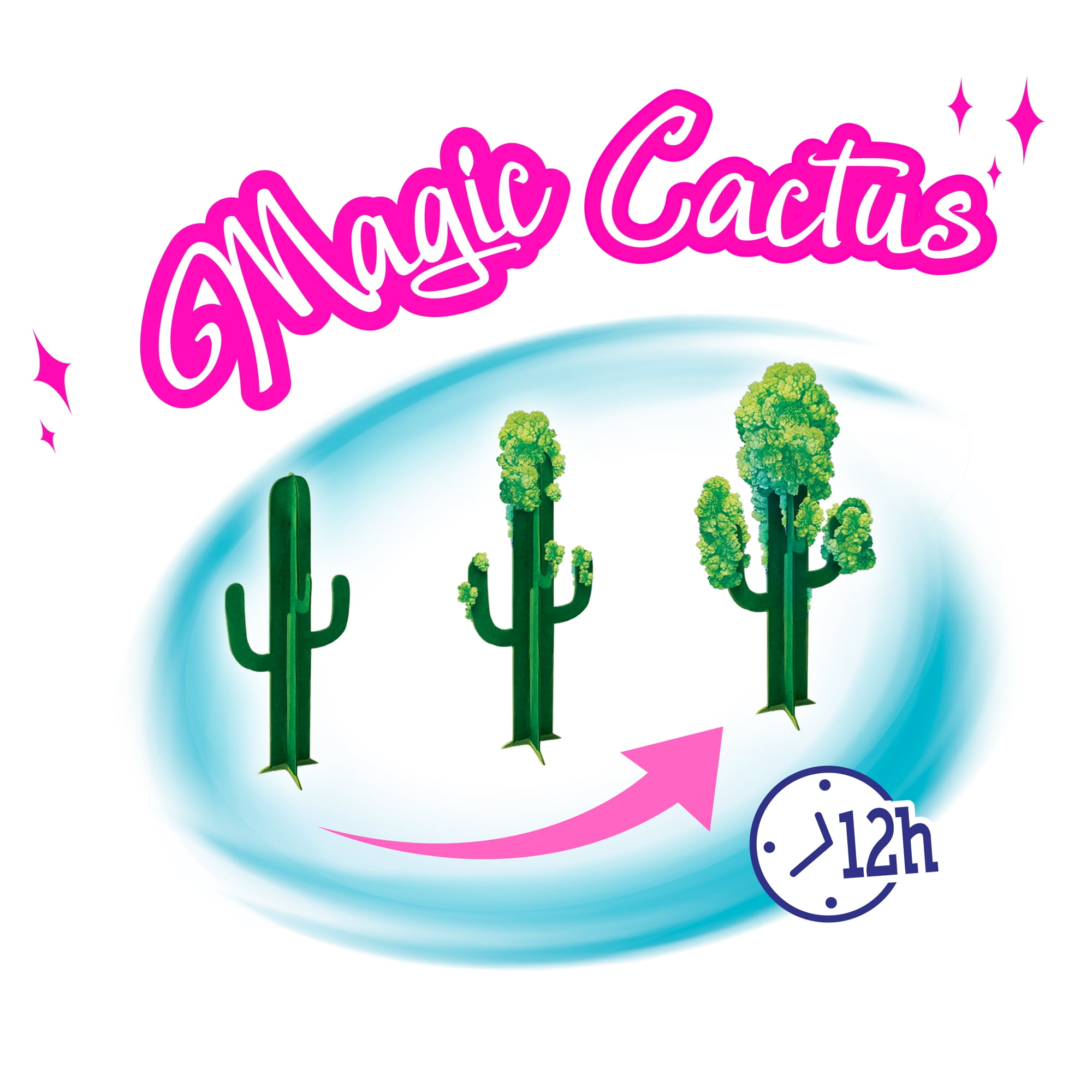 so magic diy large terrarium