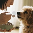 thumbnail image 3 of Quality Pet Supplies For Dogs And Cats - Versatile Durable PP Material Designed For Daily Use For Indoor And Outdoor Activities, 3 of 4