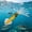 B, variant on Luminous Squid Fishing Lure, Soft Glow-in-the-Dark Squid Bait with 3D Eyes, 5.15" Saltwater & Freshwater Lure with Built-in Hook for Bass, Trout & More