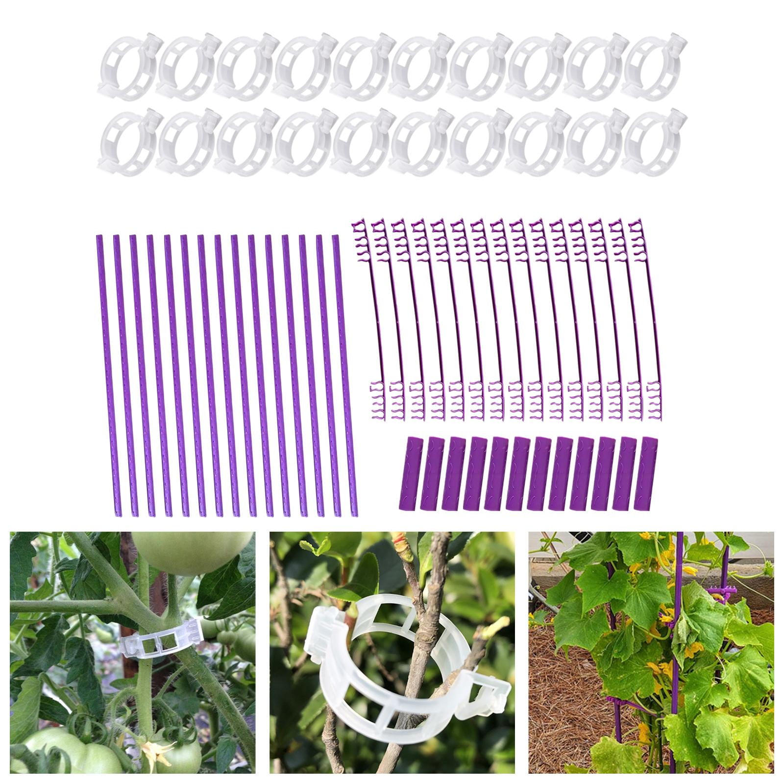 Nishiyuenyi Adjustable Climbing Plant Support Plant Trellis for Outdoor Vegetable Tomato