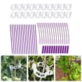 thumbnail image 4 of Soporte de Trepadora Zulema Para Vegetal Soporte de escalada, 4 of 8