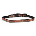 thumbnail image 2 of Collar NFL para perro raza mediana San Francisco 49s 100% oficial, 2 of 6
