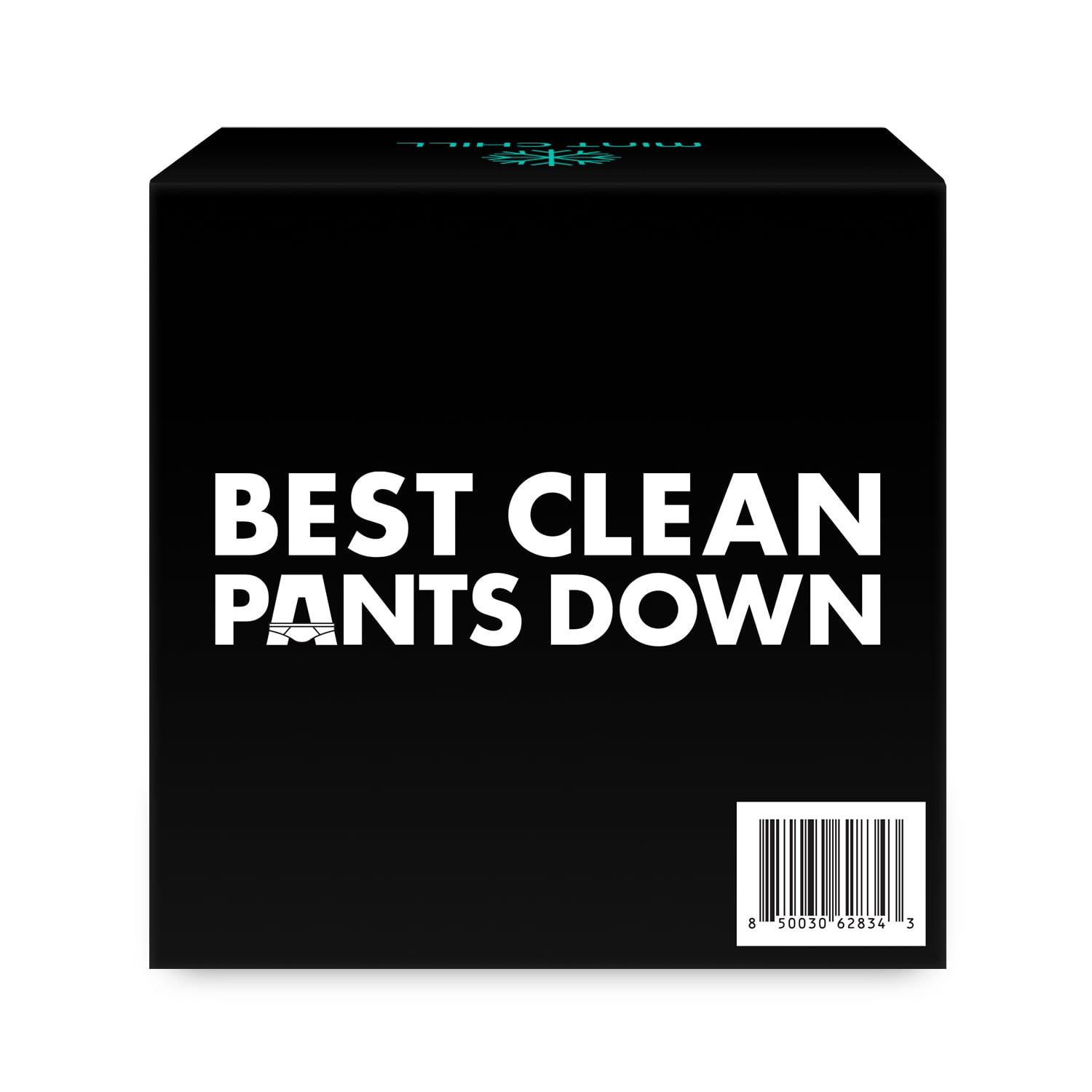 DUDE Wipes Mint Chill, Extra Large Flushable Wipes, 48 Count, 8 Pack (384 Total)