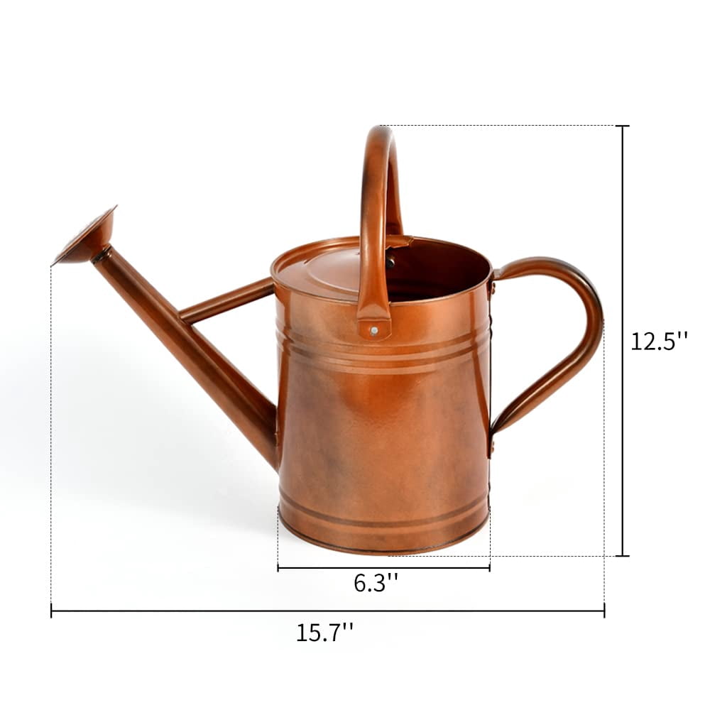 Metal Watering Can for Outdoor and Indoor Plants, Watering Can Decor, 1 Gallon - 001 COPPER