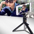 View all media