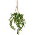 thumbnail image 3 of Nearly Natural 6913 Mixte Stephanotis Panier Suspendu, 3 of 3