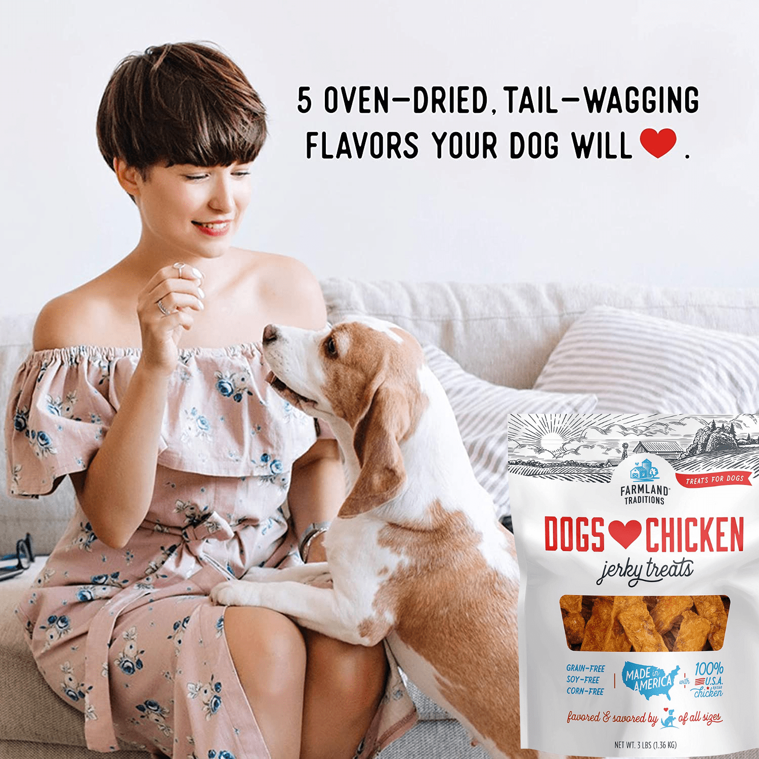 Farmland Tradition Dogs Love Chicken Premium Jerky Treats for Dogs, Made with Limited Ingredients, Zero Artificial Flavors, Protein Packed Treat Great for All Dog Sizes and Breeds 3Lbs Pack of 2