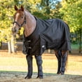 thumbnail image 2 of Jeffers Equine Poplar Head Shipping Boots, Black, Cob Size – Set of 4 Travel Boots for Horse I Comfort and Protection, Secure Strap Closures, Ideal for Travel, Trailering, Equestrian Accessories, 2 of 5