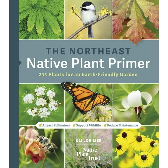 The Northeast Native Plant Primer: 235 Plants for an Earth-Friendly Garden, (Paperback)