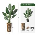 thumbnail image 3 of Artificial Tree in Contemporary Planter, Fake Bird of Paradise Silk Tree for Indoor and Outdoor Home Decoration - 67" Overall Tall (Plant Pot Plus Tree), 3 of 5