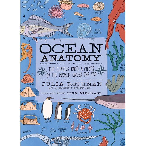 Libro Anatomía del océano: Las curiosas partes y piezas del mar