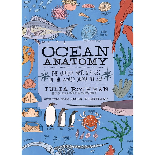Libro Anatomía del océano: Las curiosas partes y piezas del mar