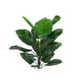 thumbnail image 4 of Monarch Artificial Plant, 54 Tall, Dieffenbachia Tree, Indoor, Faux, Fake, Floor, 4 of 6