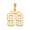 thumbnail image 1 of Real 14kt Yellow Gold Large Polished Number 99 Charm Pendant; for Adults and Teens; for Women and Men, 1 of 1