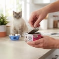 thumbnail image 3 of (12 pack) Special Kitty Salmon Dinner Pate Wet Cat Food, 5.5 oz Can, 3 of 11