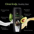 thumbnail image 2 of Nisha Avocado & Brahmi Oil Hair Shampoo for Silky, Shiny & Healthy Hair, 340 ml, 2 of 9