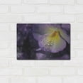 thumbnail image 3 of Luxe Metal Art 'Purple Pansy' by Lori Deiter, Metal Wall Art, 16"x12", 3 of 9