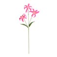 thumbnail image 1 of Outdoor 60cm Imitation Silk Non Fading Imitation Decorative Items for Gardens Windowsills And, 1 of 7