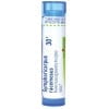Boiron Symphoricarpus Rac 30C, Homeopathic Medicine for Nausea Aggravated By The Slightest Motion, 80 Pellets