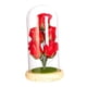 thumbnail image 3 of Regalo de flor de rosa artificial, preservada con luz, regalo del Día de San Valentín para Navidad, Acción de Gracias, 3 of 9