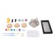 thumbnail image 4 of Kit De Pintura De Roca, Manualidades De Pintura Que Promueven La Coordinación Mano-ojo Para Niños Para Jardín De Infantes, 4 of 8
